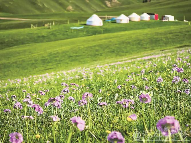 年轻教练充满活力，新疆之花绚丽绽放